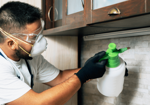 5-rf6pm32kicjr15hczxzmfum04pb4zx1z6uxohup770