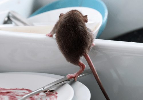 6-rf6pm24qbiigpjiq5fkzvcujjbfrs7y8uqa70kqld8